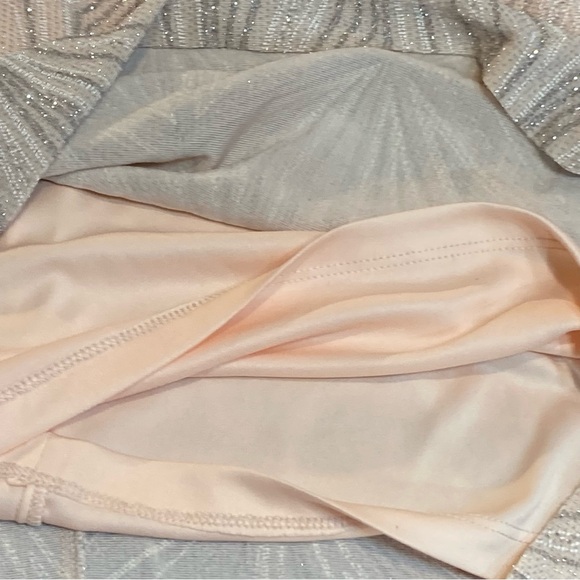JH EVENINGS FORMAL LIGHT PEACH / PINKISH WITH SILVER METALIC DRESS SIZE 16 NWT - Picture 15 of 15